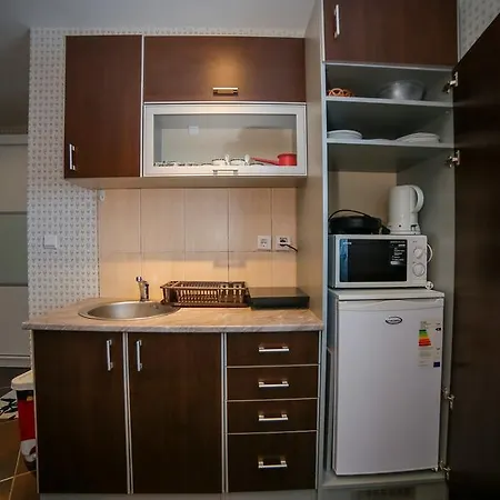 Car 13 דירה קופאוניק